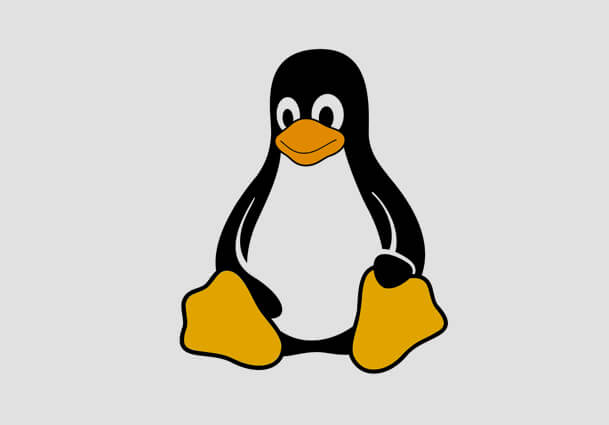 Patched Linux Distributions