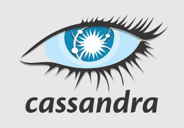 Apache Cassandra Node