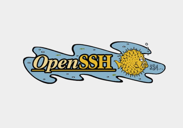 OpenSSH FTP Server
